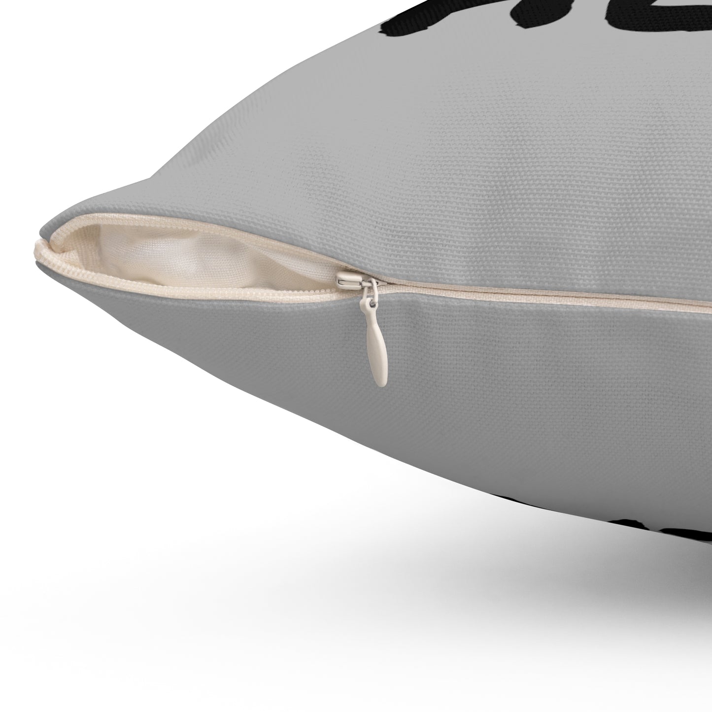 We Had Sex Here Pillow