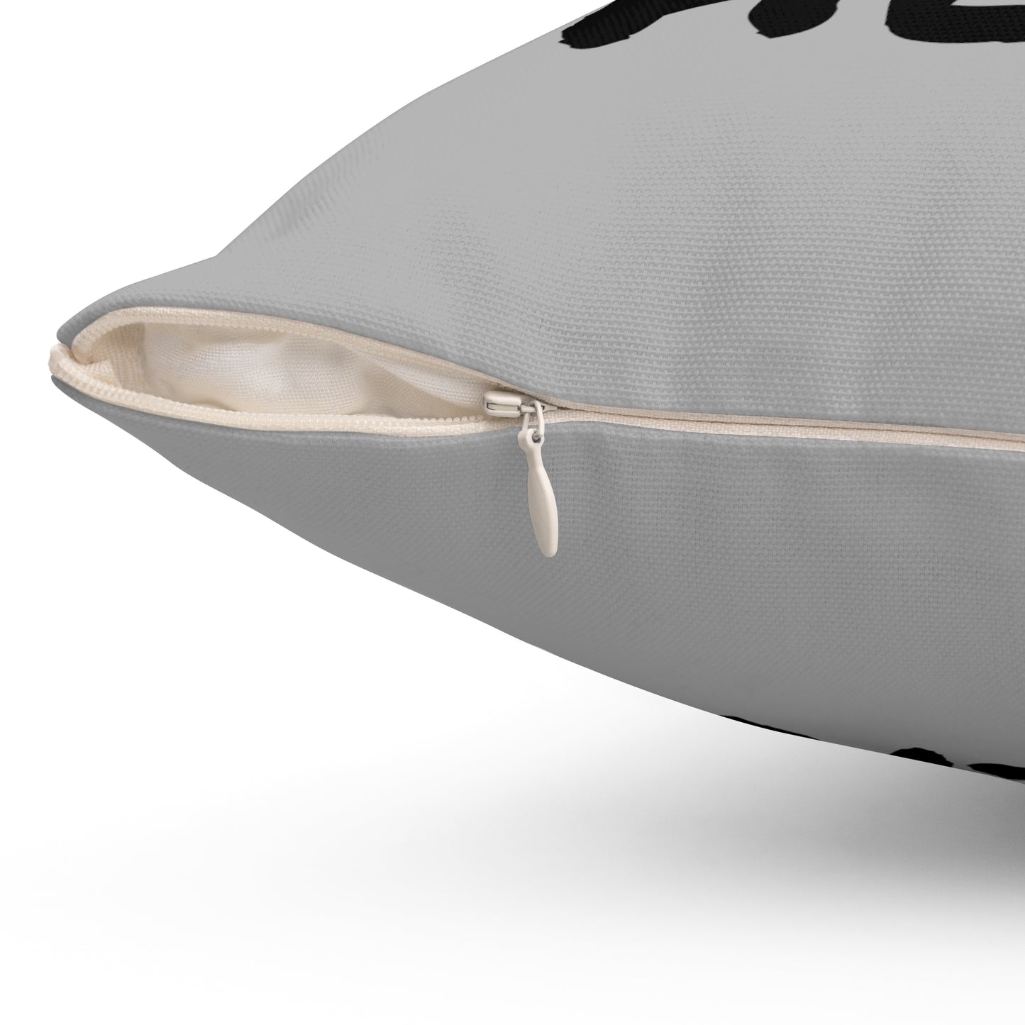 We Had Sex Here Pillow