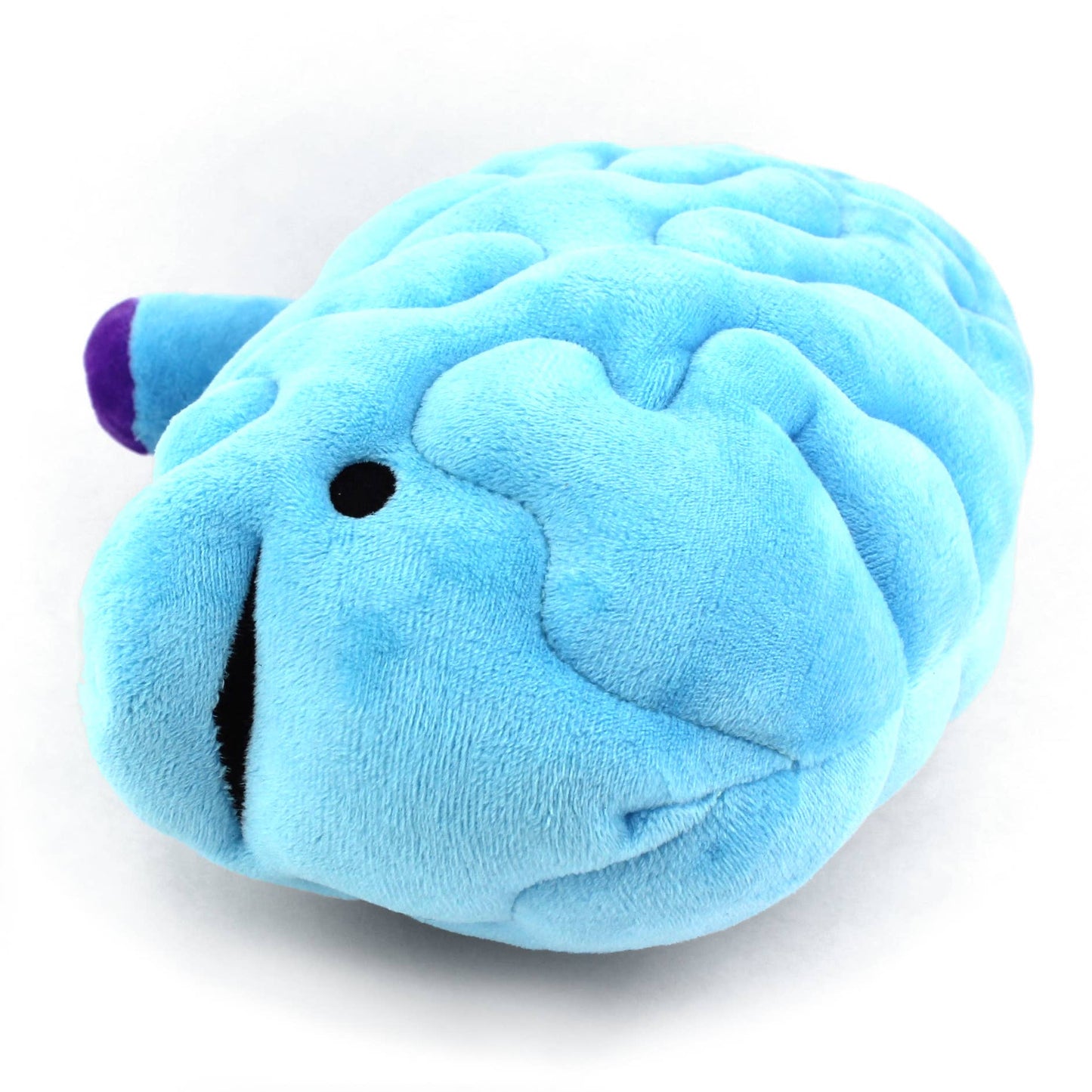 Brain Plush - All You Need Is Lobe