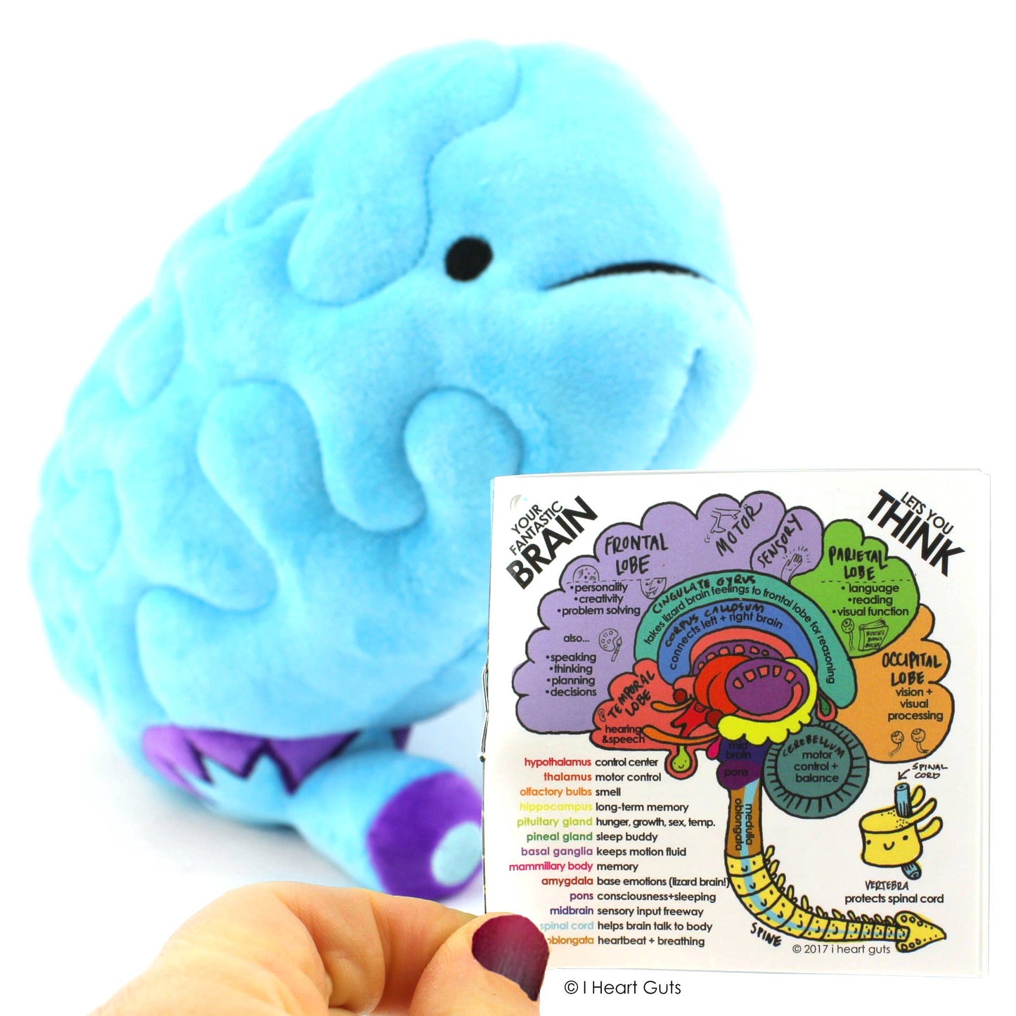 Brain Plush - All You Need Is Lobe