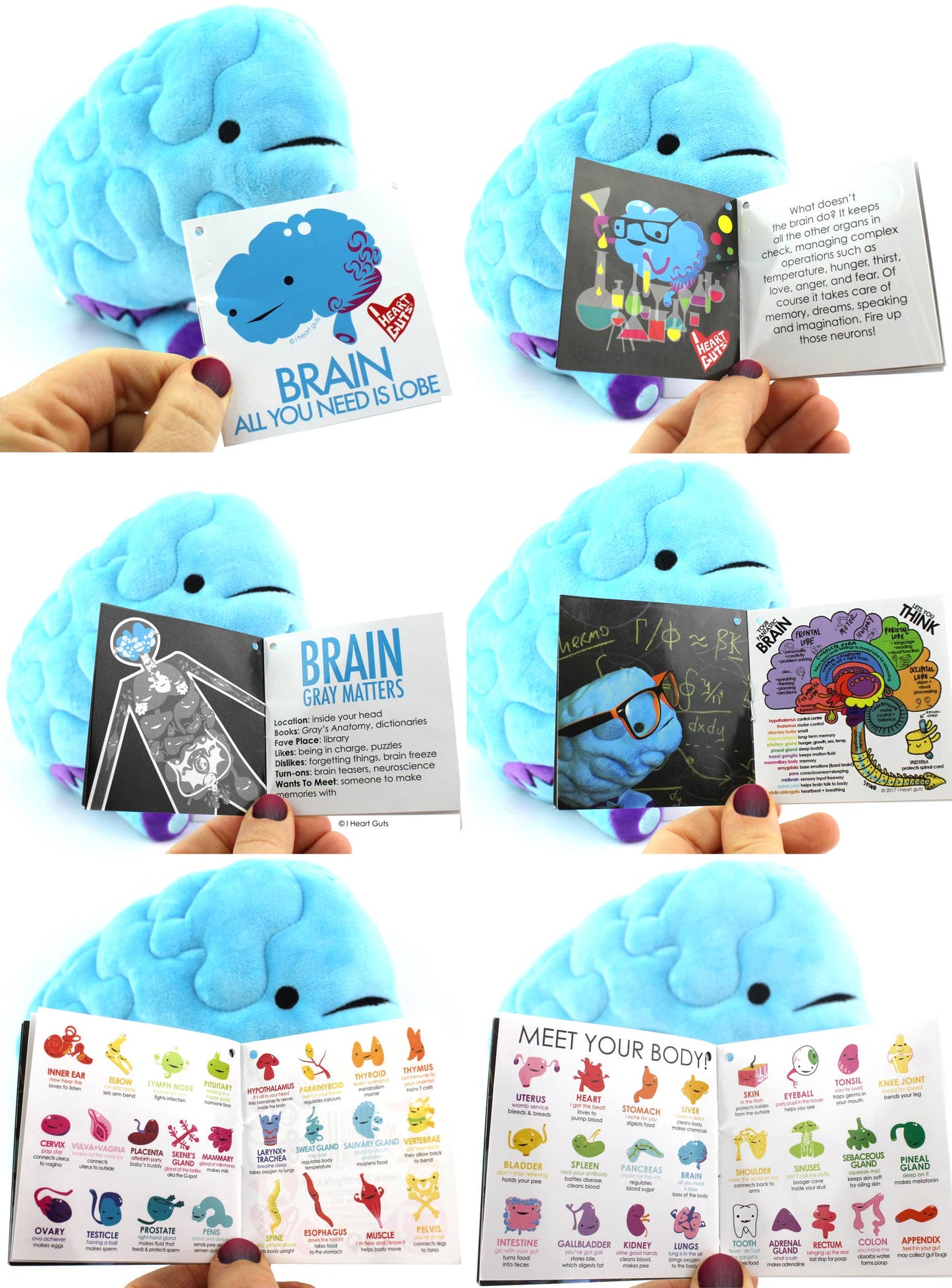 Brain Plush - All You Need Is Lobe