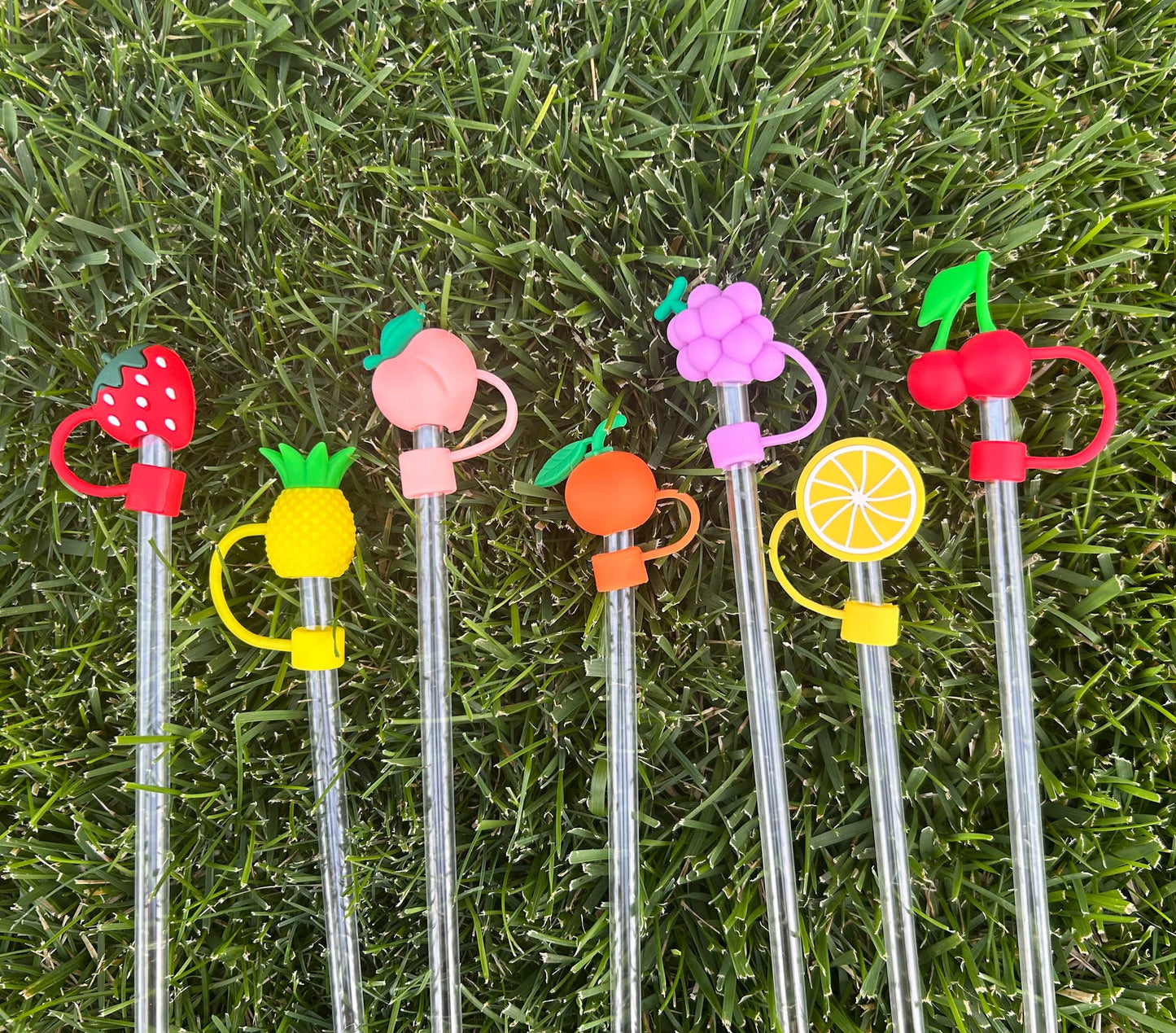 Fruit Straw Toppers Set of 7