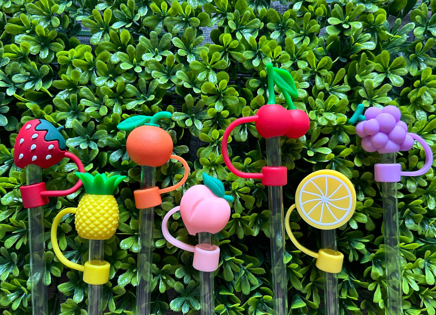 Fruit Straw Toppers Set of 7
