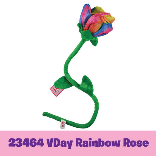 Valentine's Day Rainbow Jumbo Rose Assortment